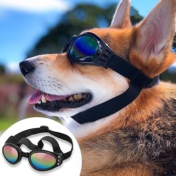 dog protective goggles
